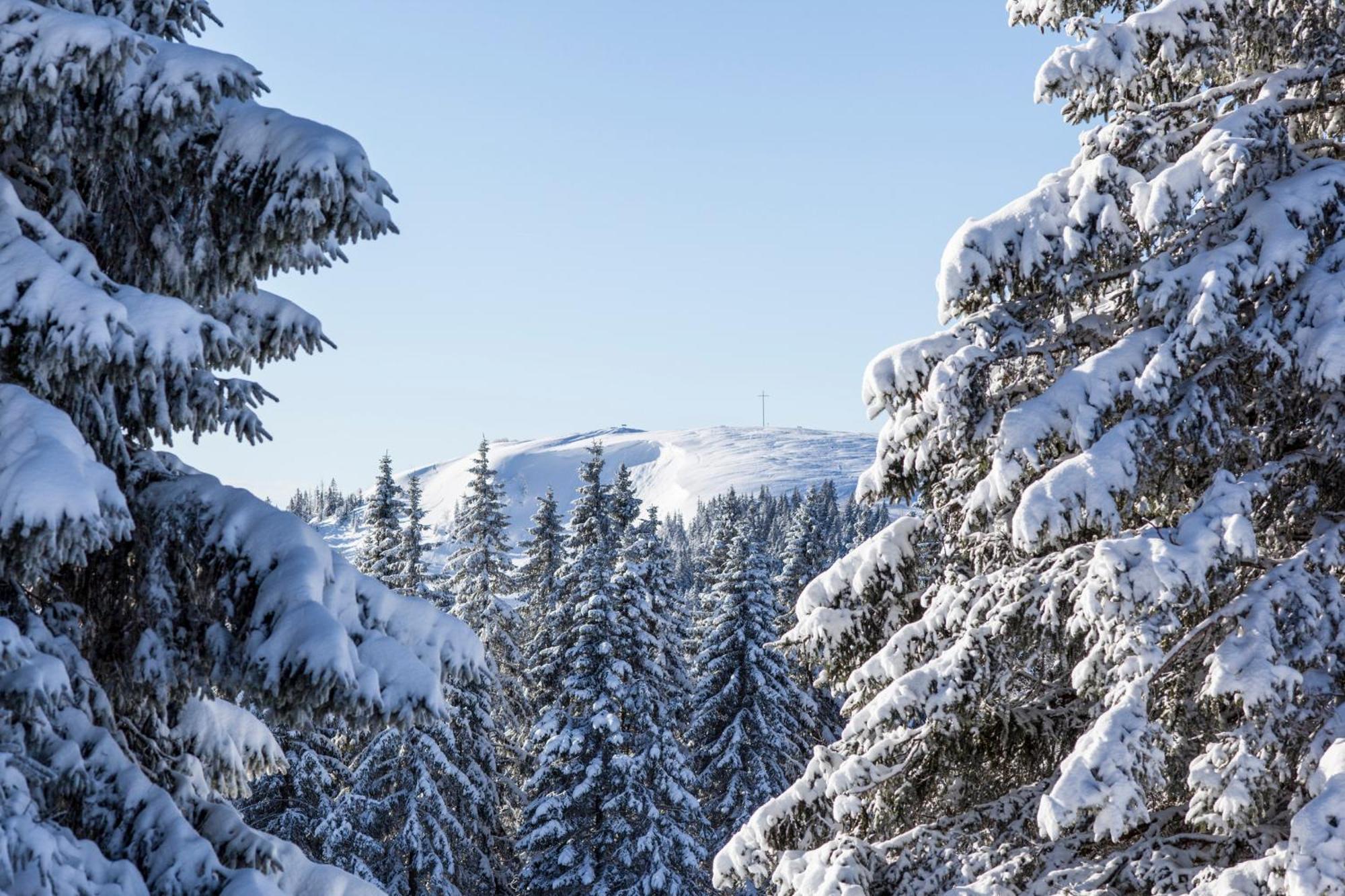 Ferienwohnung Seeblick Nr 5, 2 Zi-Bärental, Feldberg Rotwasser Exterior foto
